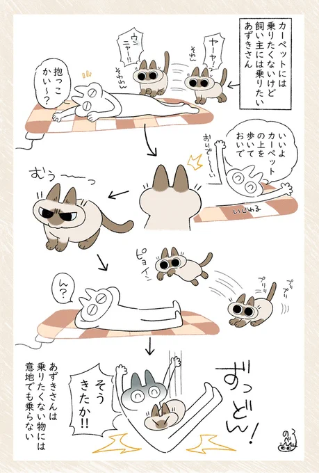 カービィのストーンか(わかる人だけわかって笑) #シャム猫あずきさんは世界の中心 