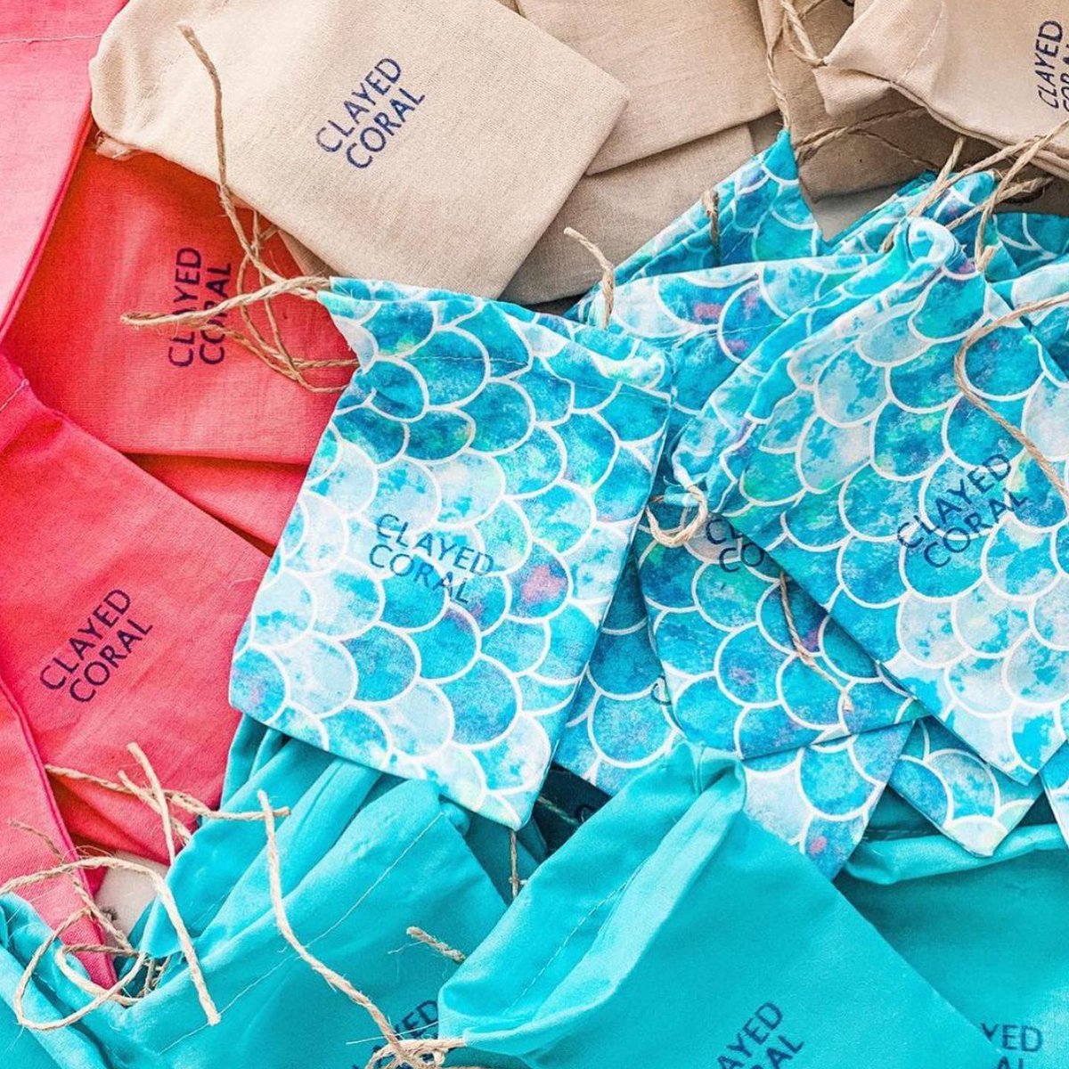 Reef Check Australia tweet media