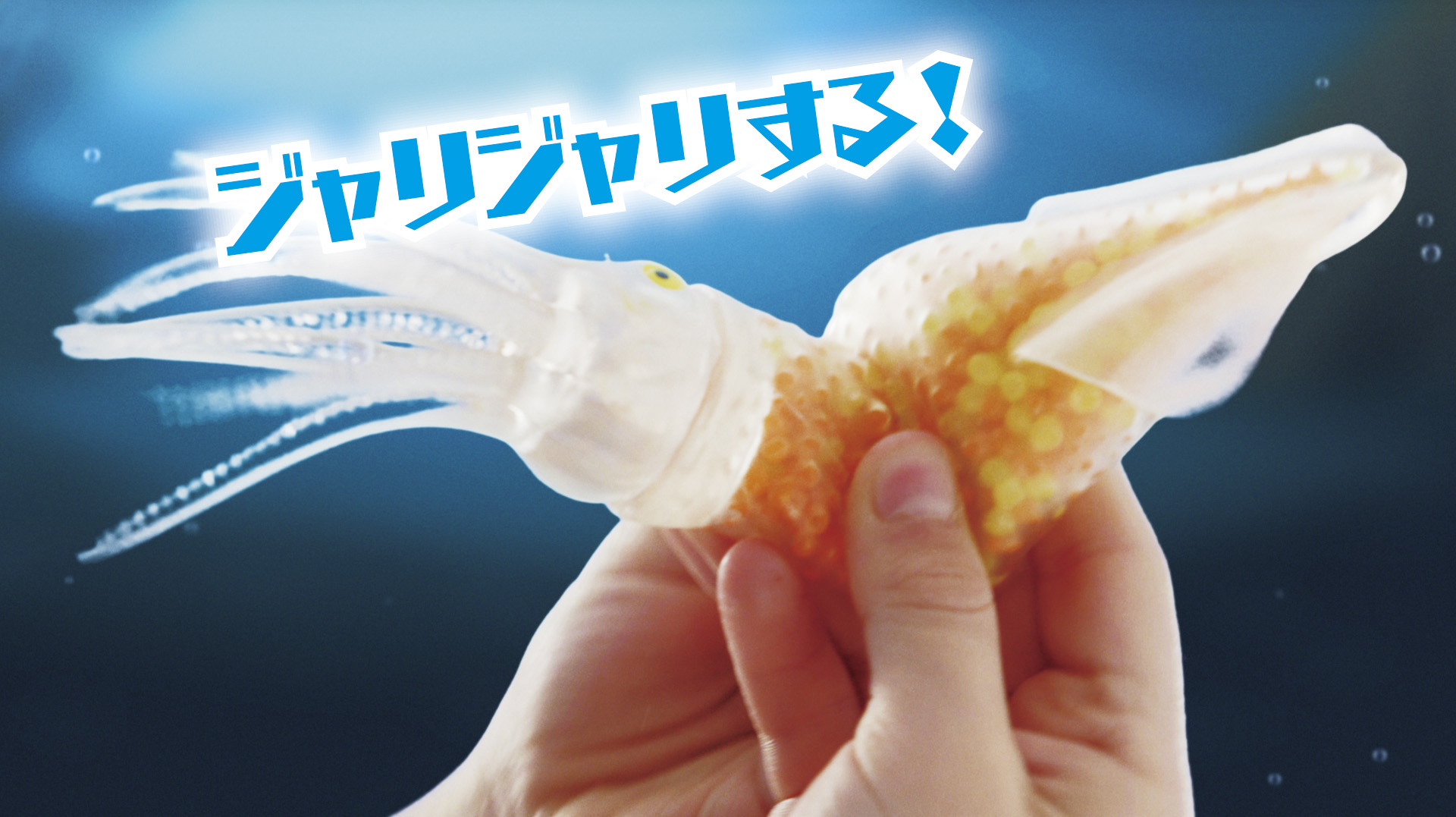 デアゴスティーニ ジャパン 公式 子どもに大人気シリーズの第4弾 シーモンスターズ Amp Co ビッグ 発売開始 全15種類特大サイズのシーモンスターは何が出るかお楽しみ 15種類コンプリートバックhp限定発売中 子ども達へのプレゼントにお