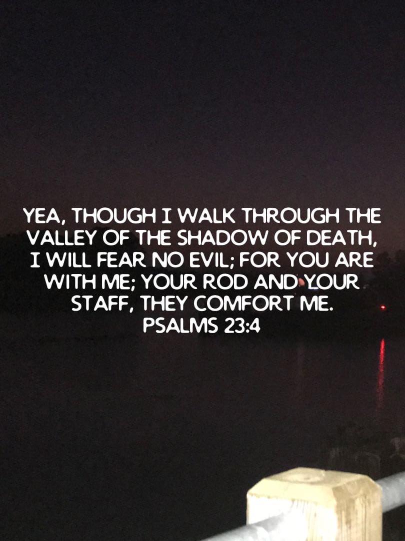 archbell_r's tweet image. Fear no evil! bible.com/114/psa.23.4.n…