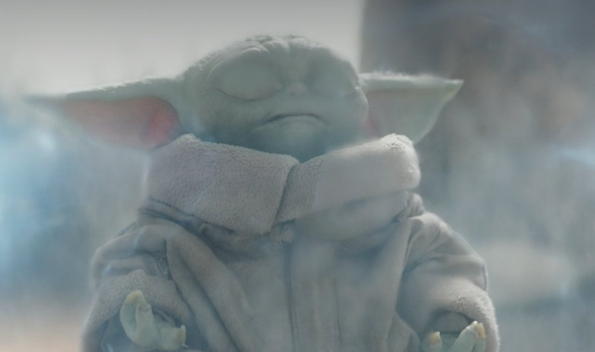 They both are surprisingly good at yoga. Look at Bucky's downward dog!