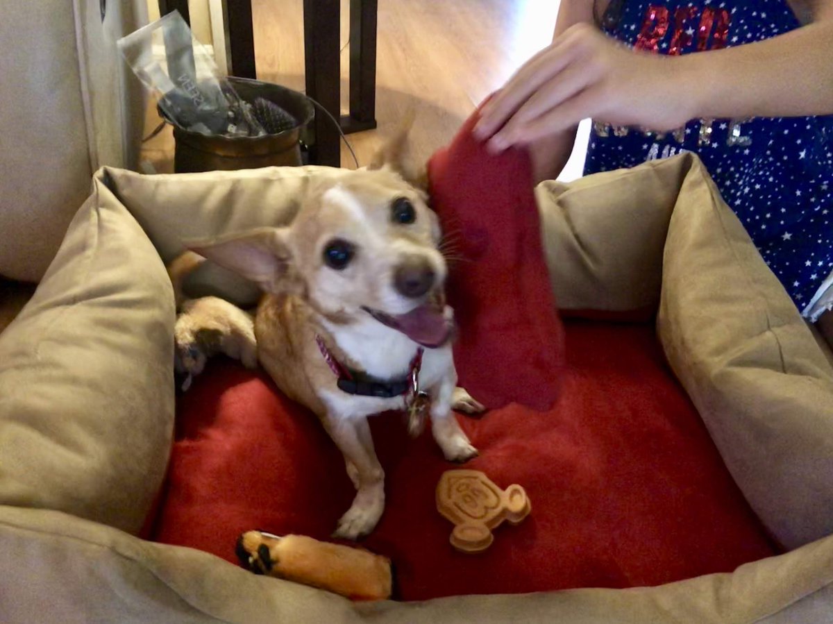 Grogu and Bucky both have great smiles and little teefers