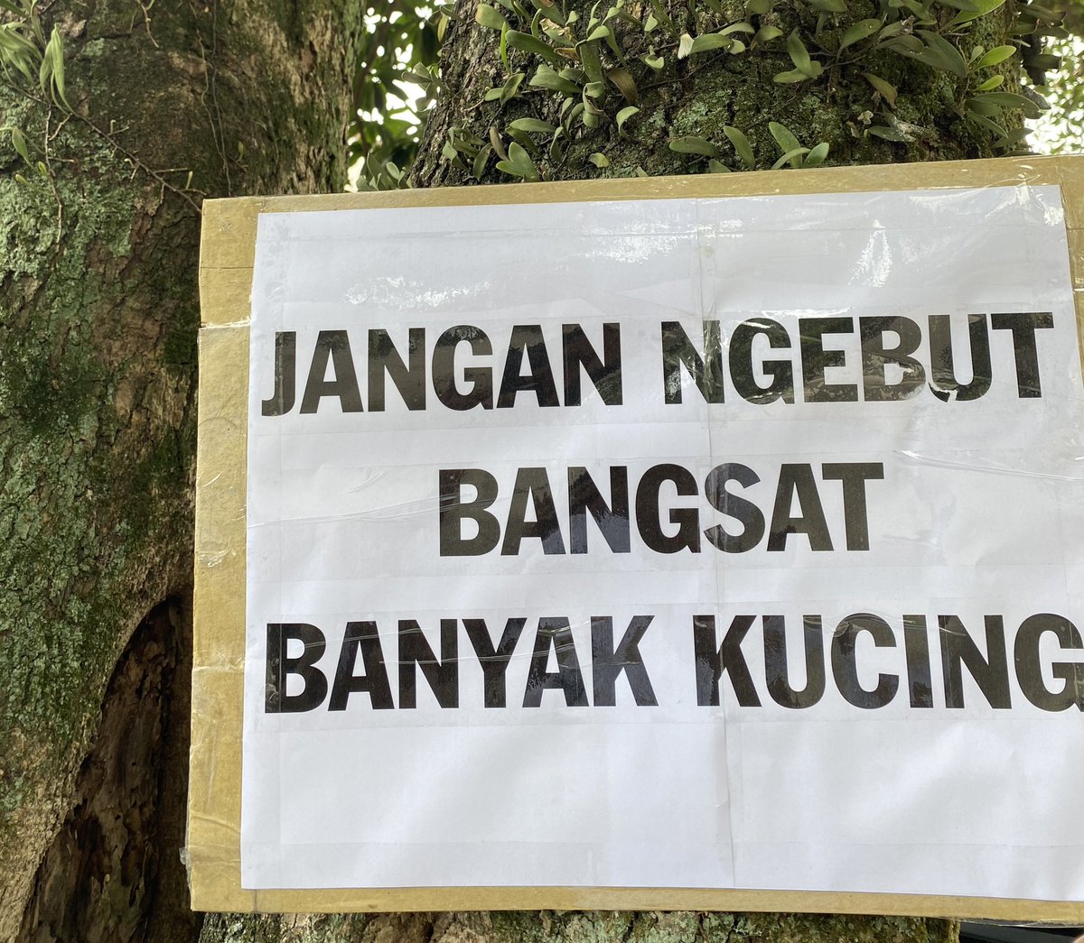 Pak RT Ngegas