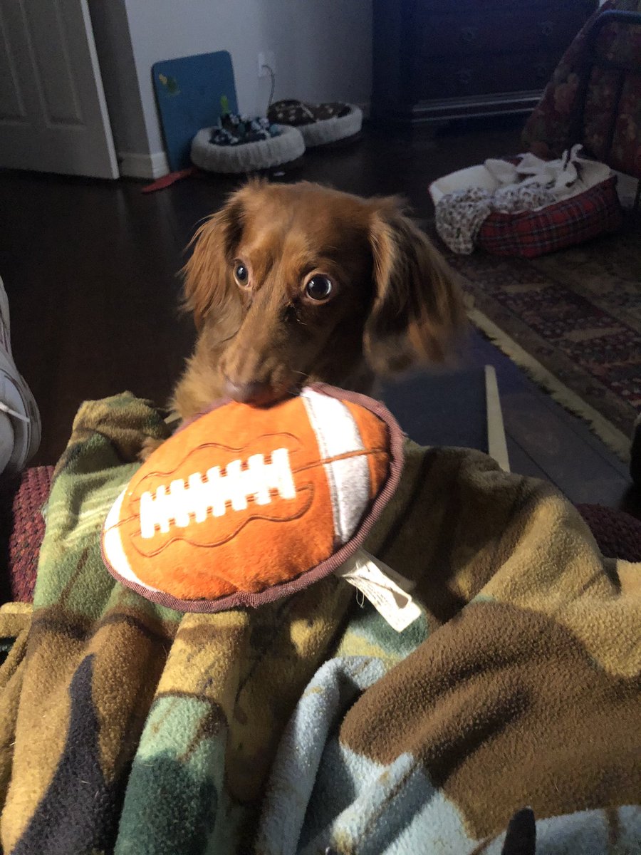 Ready for some football?? Cowboys suck. I’m yelling for Cleveland!!