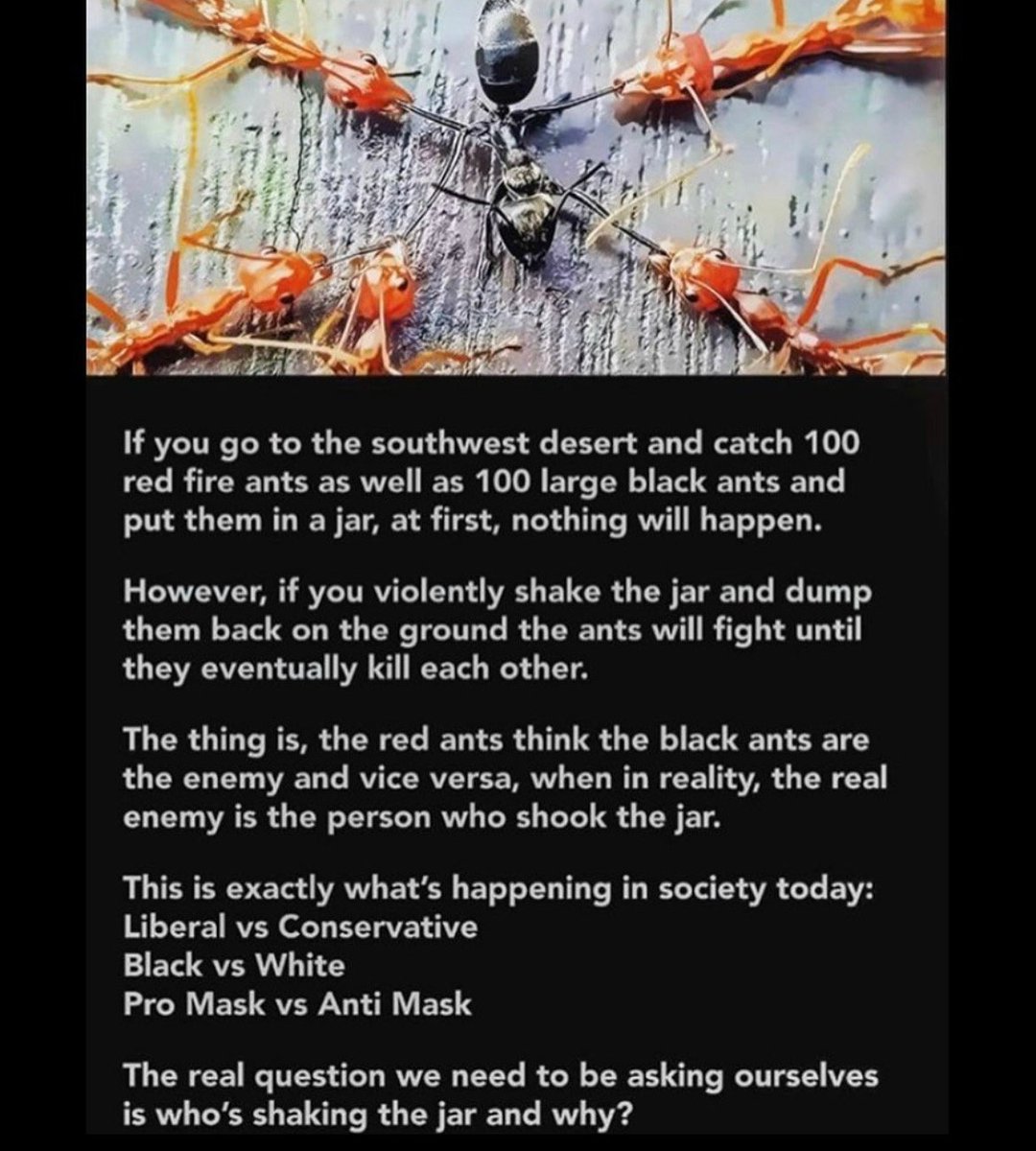 CloydRivers's tweet image. Merica.