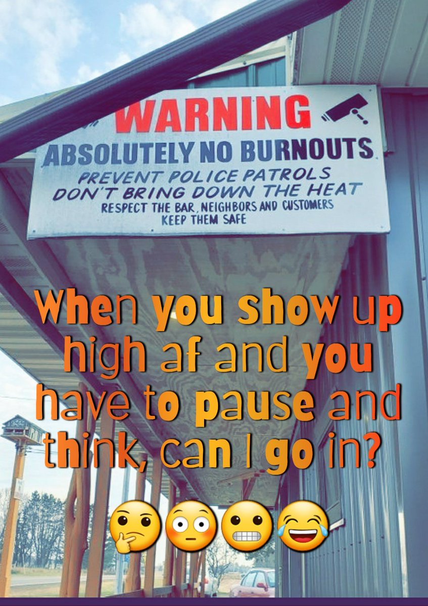 SquirrelonTO's tweet image. 