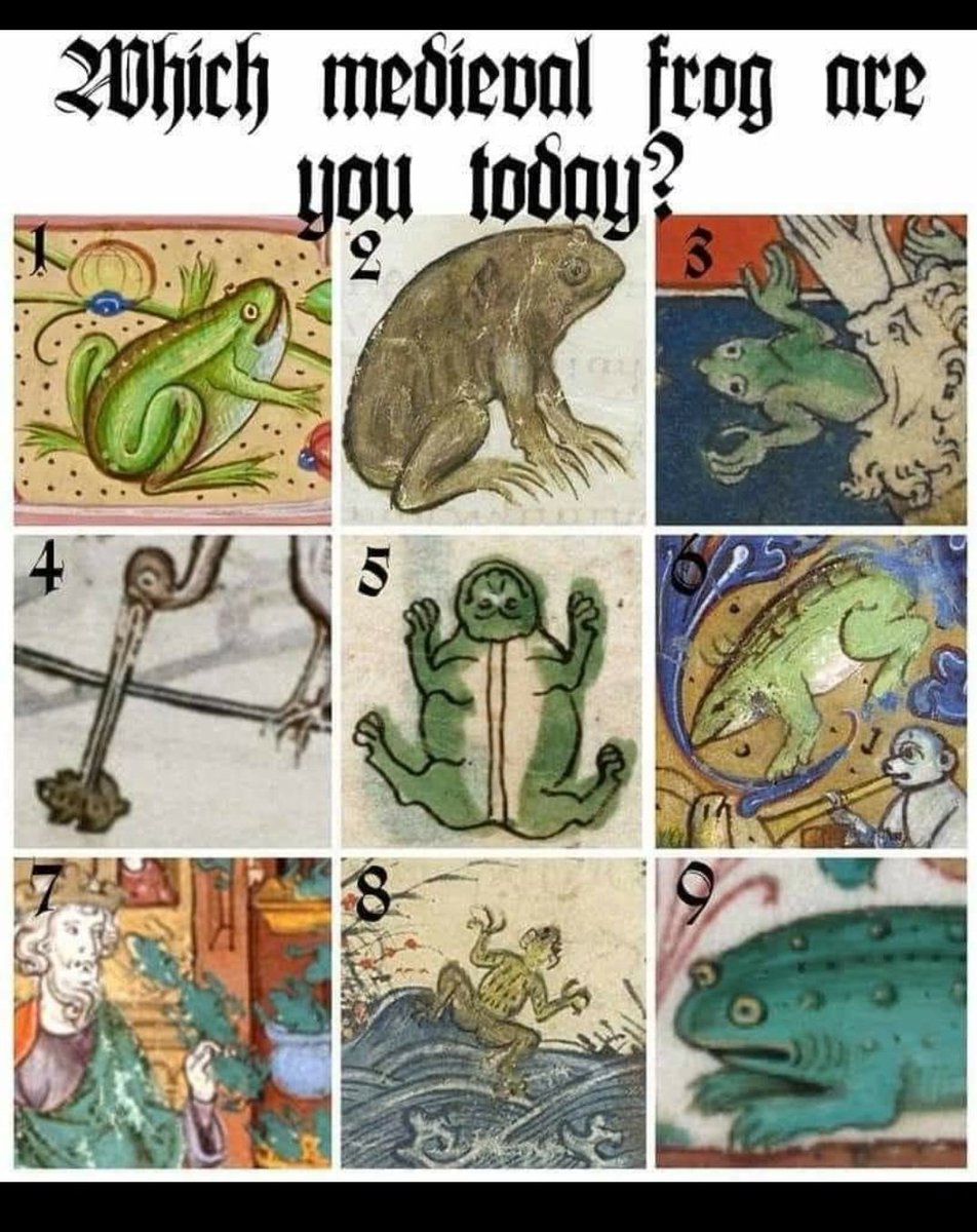 MSUTXHC's tweet photo. I think finals has us all at 9 right now. What medieval frog are you? https://t.co/I6Kxa3zbKA