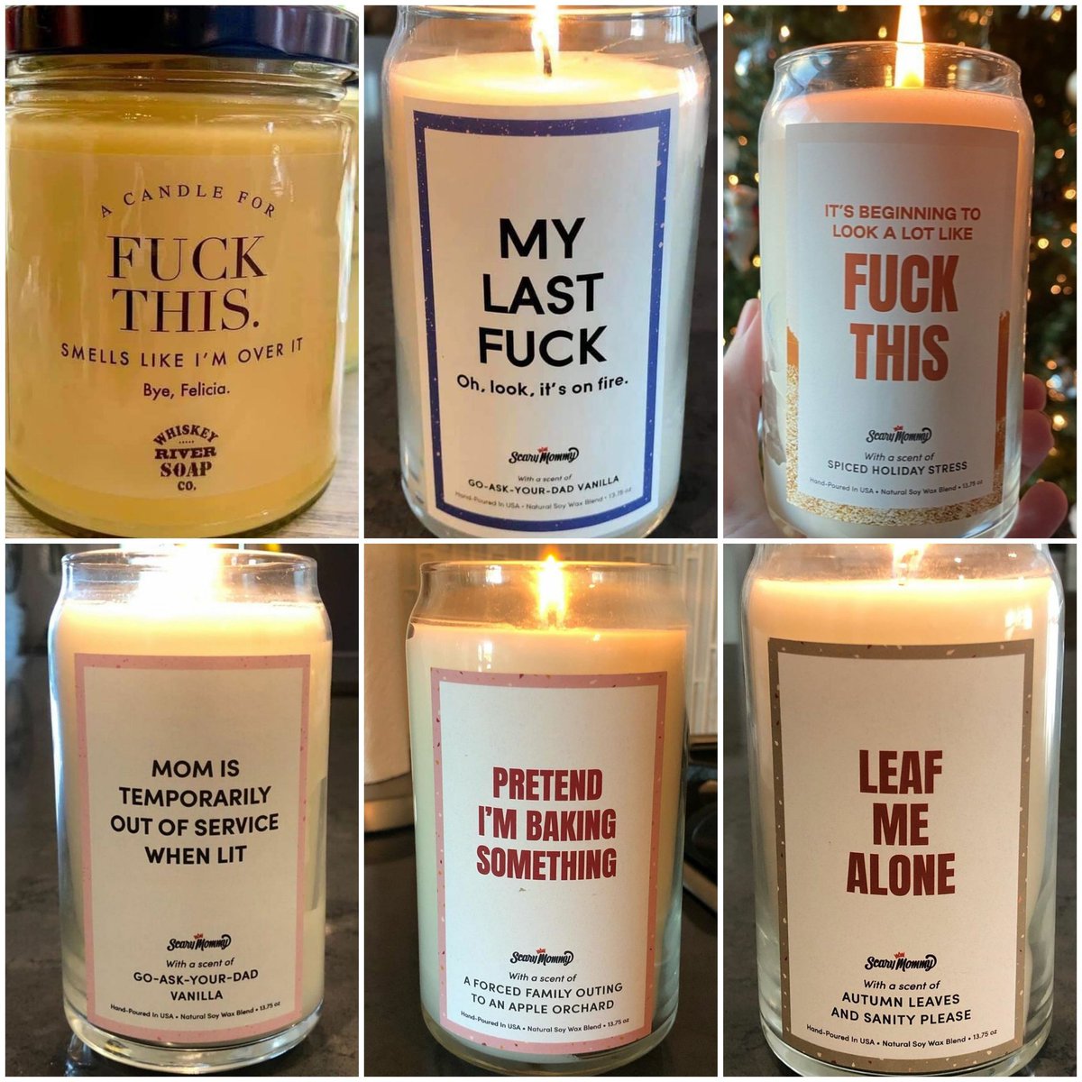 SquirrelonTO's tweet image. 