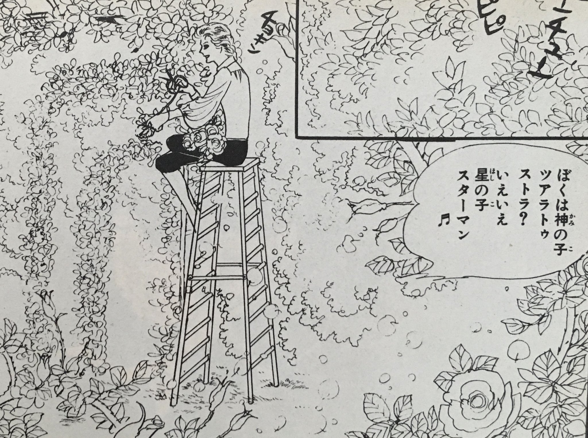 K8 これを読んだときはデヴィッド ボウイを知らなかった いちご物語 大島弓子 T Co Gcvm40cbc2 Twitter