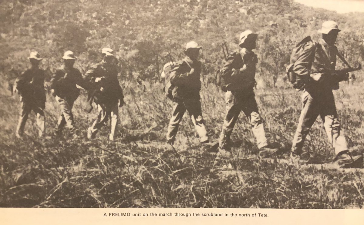 All of southern Africa was divided in the 70s and 80s; fascist Portugal still controlled Angola and Mozambique, and far-right govts ruled in Rhodesia and SA. But left wing guerrilla resistance was growing and would soon overthrow Portugal and shift the regional balance. (22)