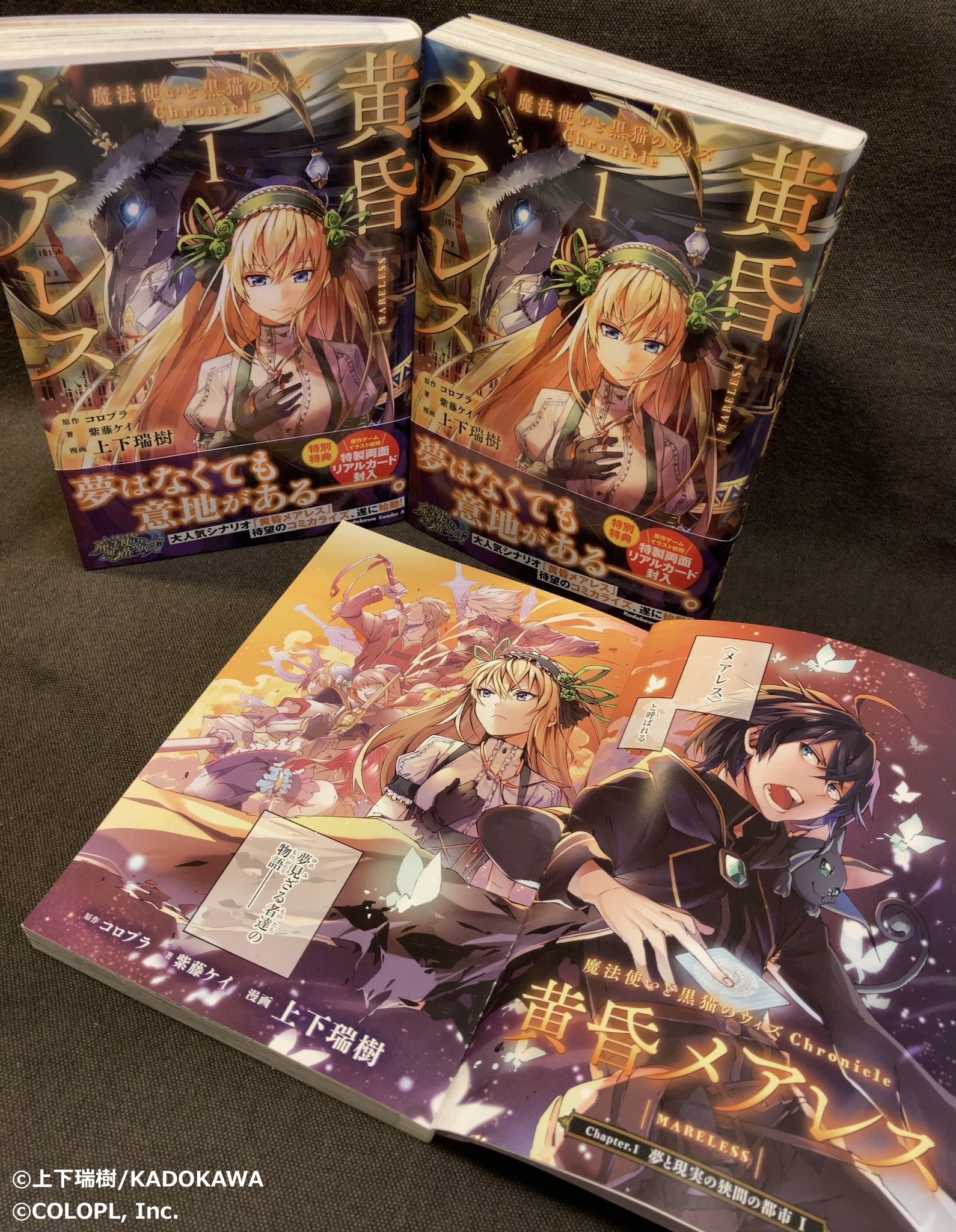 公式 魔法使いと黒猫のウィズ 公式 魔法使いと黒猫のウィズ