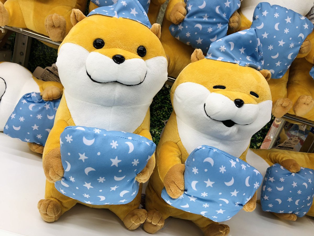 タイトーステーション上野アメ横店 プライズ 可愛い嘘のカワウソ おやすみなさいbigぬいぐるみ おかしもぐもぐぬいぐるみ 入荷致しました 枕やお菓子をかかえてとっても可愛いいですねー 各2種ございます 可愛い嘘のカワウソ タイトーステーション上野アメ横店 プライズ 可愛い嘘のカワウソ おやすみなさいbigぬいぐるみ おかしもぐもぐぬいぐるみ 入荷致しました 枕やお菓子をかかえてとっても可愛いいですねー 各2種ございます 可愛い嘘のカワウソ