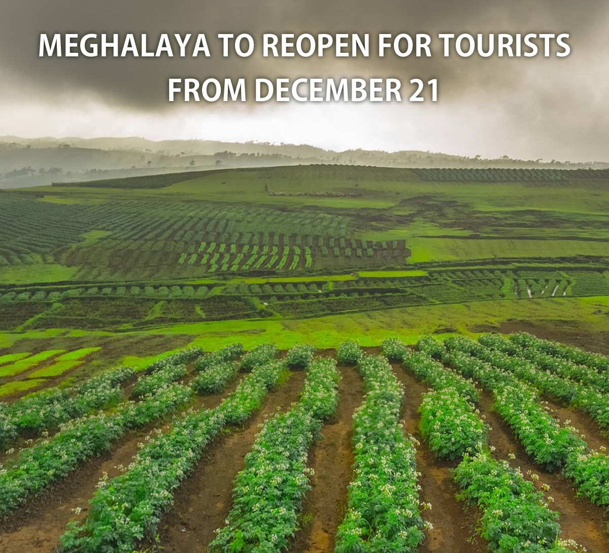Meghalaya to Reopen for Tourists from December 21
.
bit.ly/meghalaya-reop…
.
#Meghalaya #Reopen #Tourists #december #travel2021 #travel #meghalayatrip