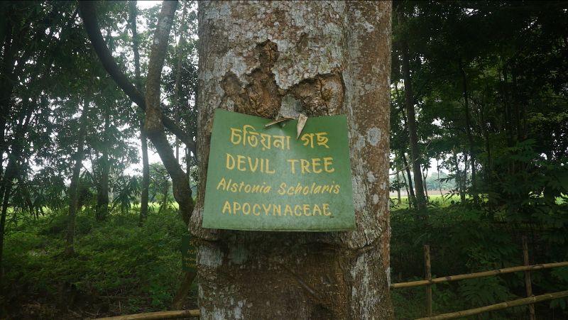 oddnwsltr #78 _ launch of MEANDER - mailchi.mp/4c787bb4ea61/o…

Members of four initiatives, situated in different parts of the world, come together to exchange ideas and questions regarding our relations to our environments and fellow life forms.

#meanderinternationalplatform