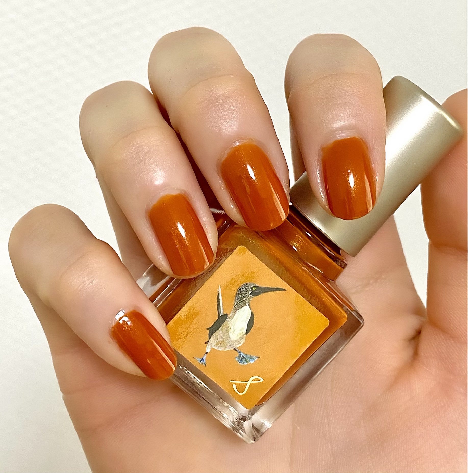 新しい到着 くすんだ感じの水色や緑系 オレンジ色などです 21春夏 Kotsadoroiladas Gr 新しい到着 くすんだ感じの水色や緑系 オレンジ色などです 21春夏 Kotsadoroiladas Gr