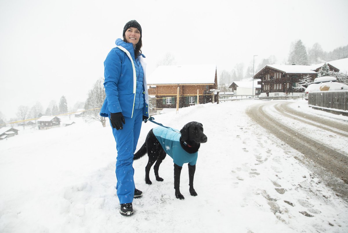 LucyRiles's tweet photo. 🔷BLUE
🔹My favorite color.
🔹My son’s favorite color.
🔹My mom’s favorite color.
🔹Duchess and my Pack color.
“I’m blue pack for life ya know?”
@PrimeVideo
#ThePack #BluePack #ThePackTV #BluePackForLife #Duchess #TrueBlue https://t.co/iTKu8z9AVl