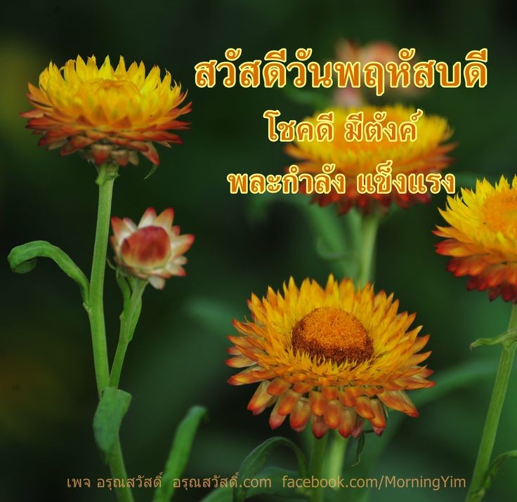 เคนดัล tweet media