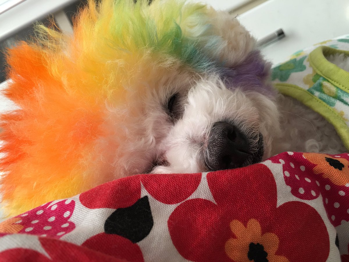 トリミン Twitter Search