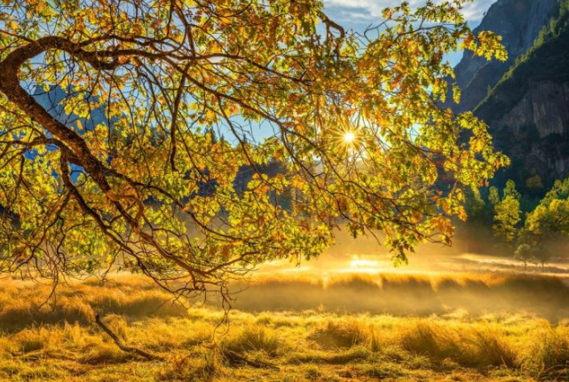 SimpleFlask's tweet photo. This is Yosemite, extremely crazy, peaceful and picturesque.  #outdoorfun #sports #water #yosemite #simpleflask #watercup #travelmug https://t.co/zE6EMxUSm1