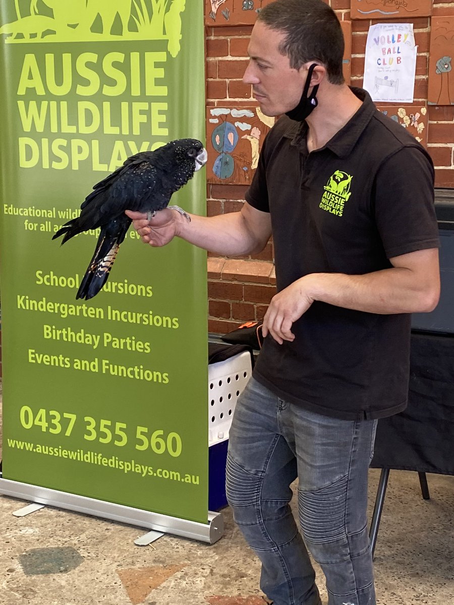 BNWPS_Faith's tweet photo. We had a VERY exciting incursion today! And learnt lots about Australian animals https://t.co/S2e5iXFH4J