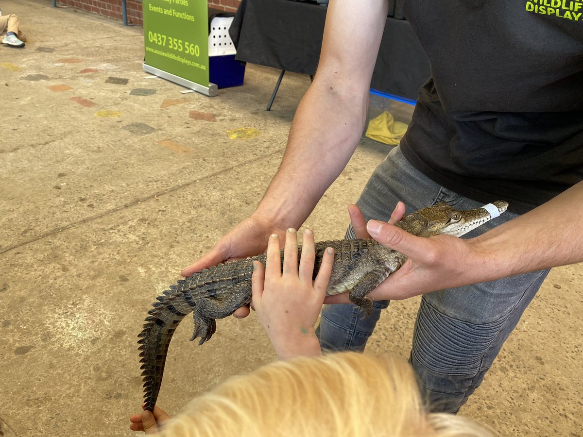 BNWPS_Faith's tweet photo. We had a VERY exciting incursion today! And learnt lots about Australian animals https://t.co/S2e5iXFH4J