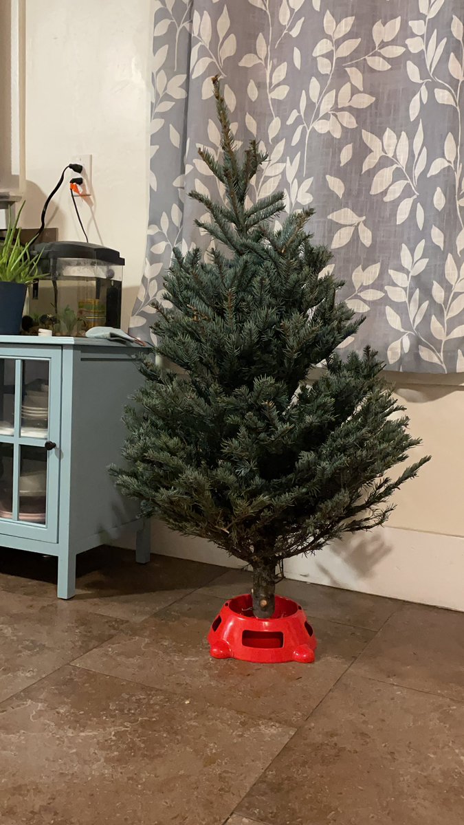 Ell Huang ♠️🤍💜🍉🥥🦋 tweet media