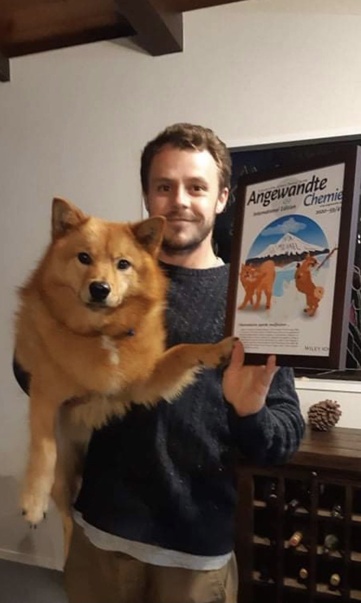 JulianaTong's tweet image. Alan Cameron and the star of the @angew_chem cover, Otis. 🐾 Check out Alan’s paper describing on-resin preparation of allenamidyl peptides here: onlinelibrary.wiley.com/doi/full/10.10… @Brimble_Lab @SCSatUoA @MWC_CoRE