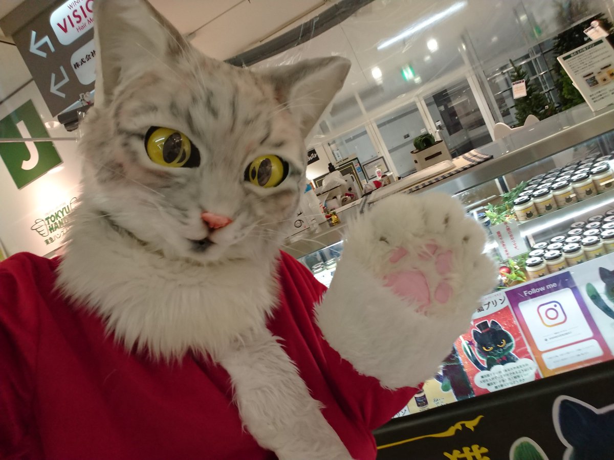 プリン専門店♪坂の上の猫♪ 源田 晃一 【公式】 on X: