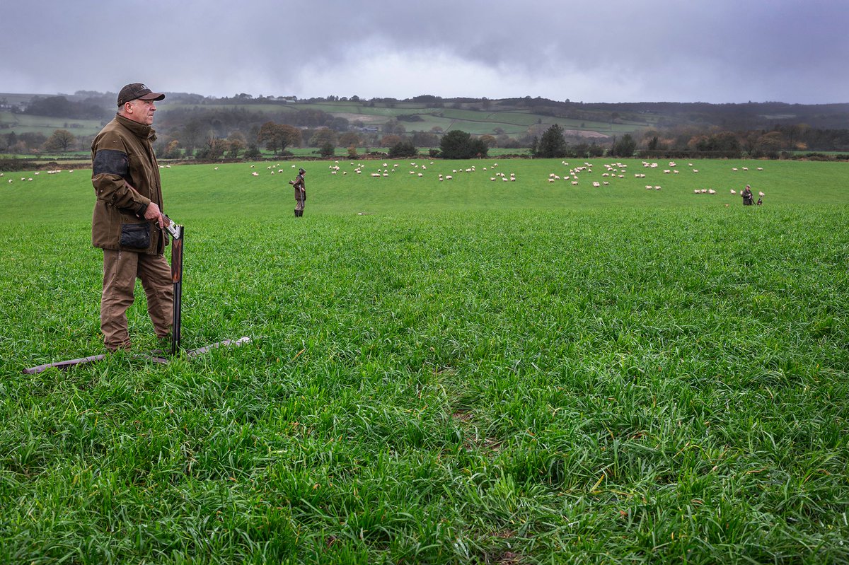 VikingArmsLtd's tweet photo. Back in the field🙌🇬🇧
#BredaShotguns #BredaZENITHL #GameGun #PheasantShooting #GameShooting #HighBirds #VIKING https://t.co/7QYaHFwm5l