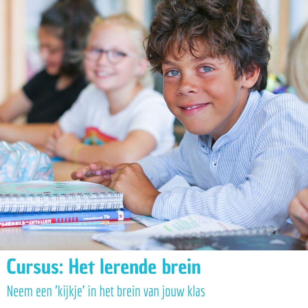 Wil je graag beter begrijpen wat er gebeurt in het brein van jouw klas tijdens de les? We geven je in deze cursus een ‘kijkje in het lerende brein’ zodat je kunt inspelen op de behoeftes van je leerlingen.
Het lerende brein:
Po: bit.ly/2IAysBN
So: bit.ly/3oL0ZUJ