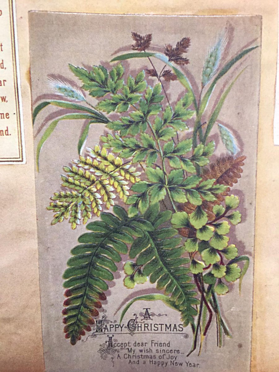 For today’s  #LeedsDropInAndDraw we will be looking at cards and our beloved Victorian scrapbook that was mysteriously donated to us in the 1990’s. It’s bursting with curious and traditional card designs full of personal sentiment and wonder. Can you design us a card today?