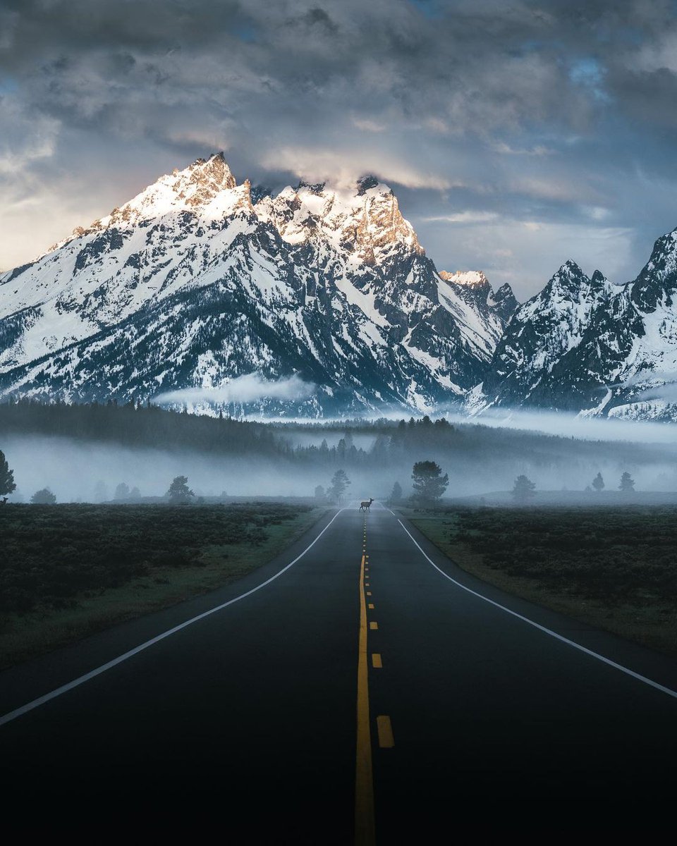 A photo by Sam Roubin of snowy mountain peaks in Grand Teton National Park, with a long road leading up to it, as well as an elk standing on the road in the distance.