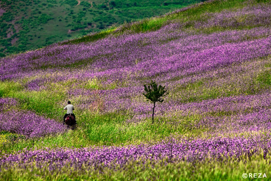 Dear #Azerbaijan, for almost four decades I've been a witness of your natural beauty. I've been astonished by the diversity of your landscape. I've felt the warmth and pride of your people. Today, you celebrate victory and write the first chapter of a hopeful longing peace.