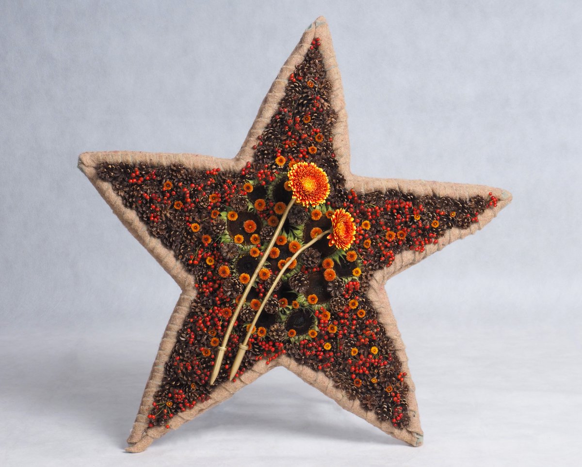 Getting in the Christmas mood! Our Gerbera #Kinky is starring in this stylish Christmas Star. Created by the talented Gábor Nagy.  
<a href="/flowmentals/">Floral Fundamentals</a>