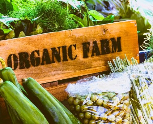KoanKenya's tweet photo. The Organic Agriculture industry is full of Opportunities, but information about how to access these opportunities has not always been straightforward, particularly in Kenya. #3rdpartycertification #agriculture #Certification #Foodsafety #Kenya https://t.co/0BUwWw5Y0t https://t.co/rc18tiwVTA