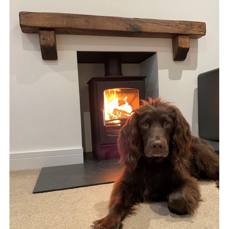 Stove World UK tweet media