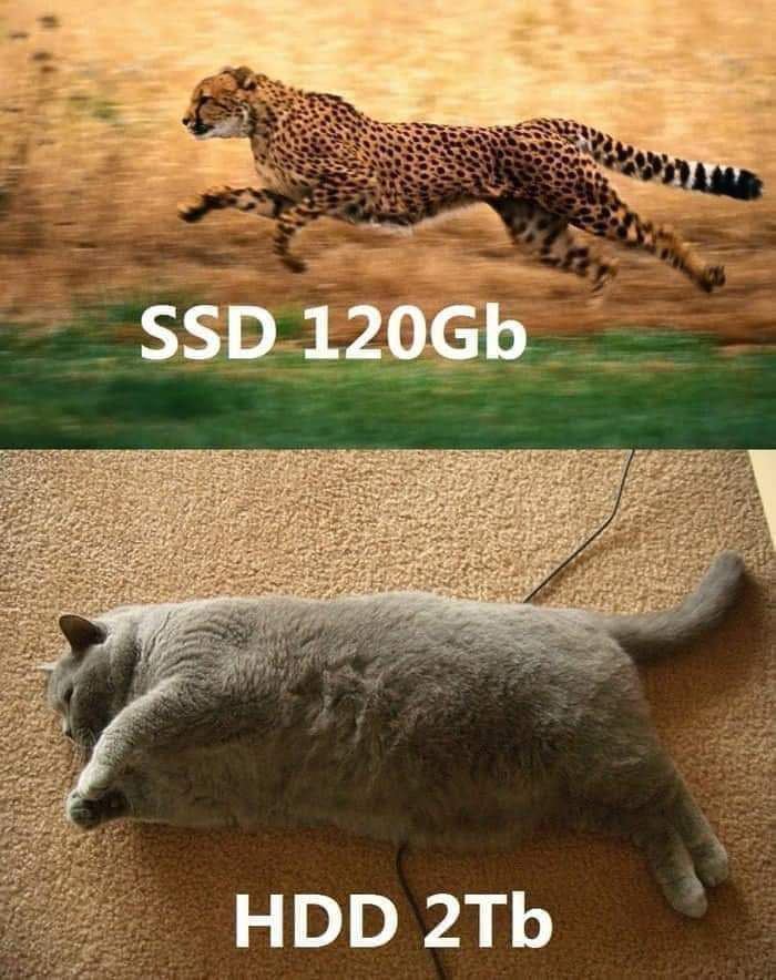 SSD vs HDD
