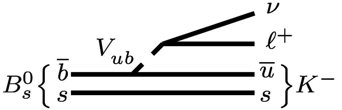 So we need more exclusive measurements with other processes. That's why LHCb reports the first process using Bₛ⁰ mesons.