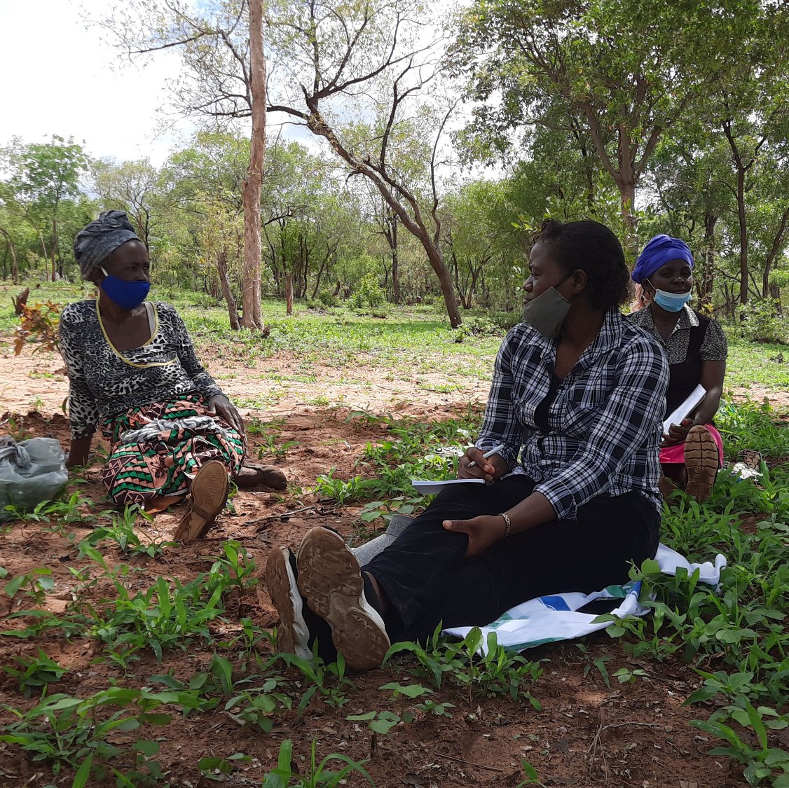 MichaelDawes01's tweet image. #MELANA_Mkts Mathabiswana gp in Umguza started 2016 w @EXPORTTRADING sesame prodctn. In 2019 t 23 member gp ws contractd2 @BuntuPvt delivrng 54MT. This season plantng 18.5ha. Also contracted2 local threshing bizns on 20ha @apt_zimbabwe @ZRBFZIM @UKinZimbabwe @euinzim @SwedeninZW