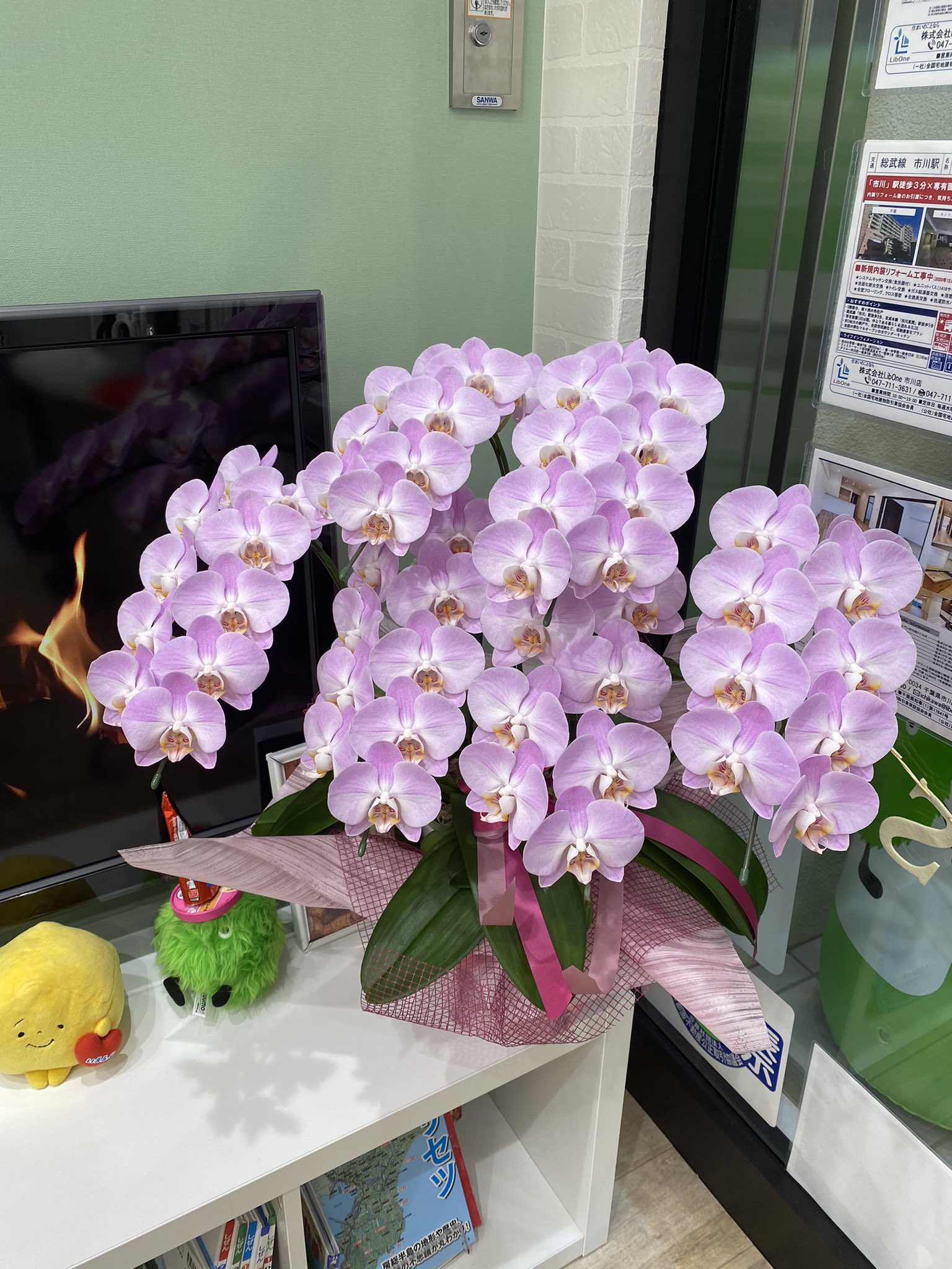 Libone リブワン 市川店 公式アカウント 素敵なお花を商店街の方たちより頂きました ありがとうございます お花に負けないように頑張ります 市川 市川駅 市川駅北口 お部屋探し 引越し 年末 もうすぐ忙しいシーズン Libone