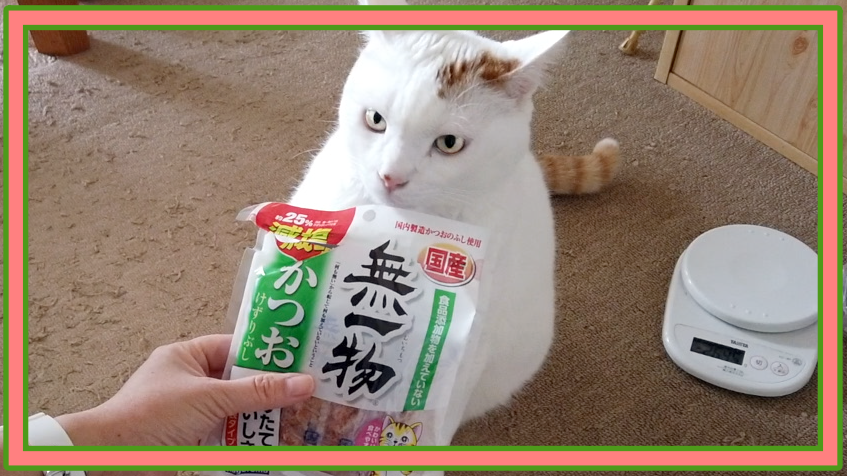 ã‚‚ã‚‚ã¯ ã‚­ã‚¯ã¡ã‚ƒã‚