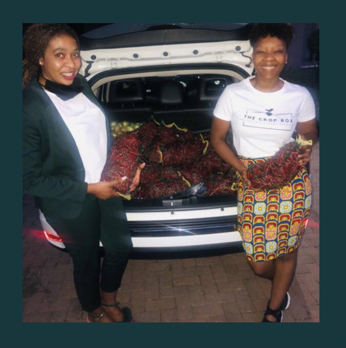 ŚwaTsakani Farming tweet media