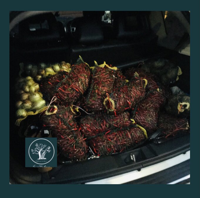 ŚwaTsakani Farming tweet media