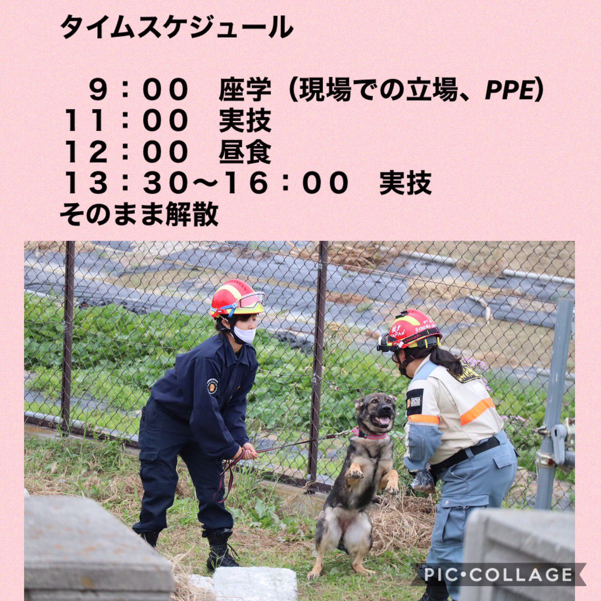 認定npo法人 日本レスキュー協会 على تويتر 災害救助犬事業 2021年1月より 新 プログラム 救助犬1dayセミナー が始まります おうちで飼っているわんちゃんと救助犬のトレーニングを体験してみませんか 皆様のご予約をお待ちしております