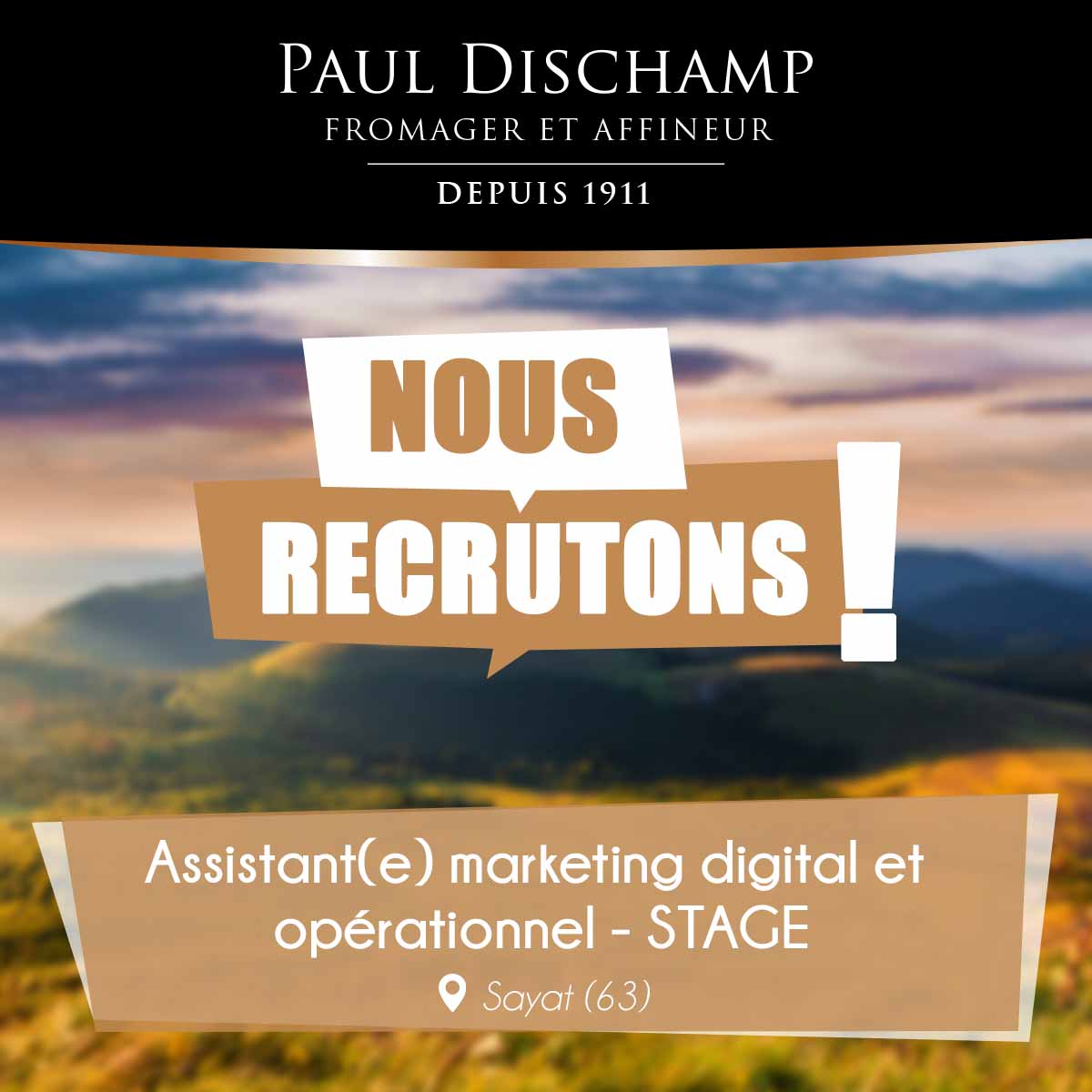 PaulDischamp's tweet photo. 🔔 Rejoignez notre équipe marketing dans le cadre d'un stage en tant qu'Assistant(e) marketing digital et opérationnel !
Pour plus d'informations &amp; postuler ➡️ https://t.co/PjaQkMHxw0 https://t.co/nUMgs4bED5