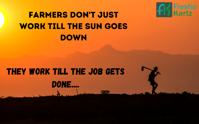 There are no fixed working hours for farmers.
#farming #agriculture #agritech #freshokartz