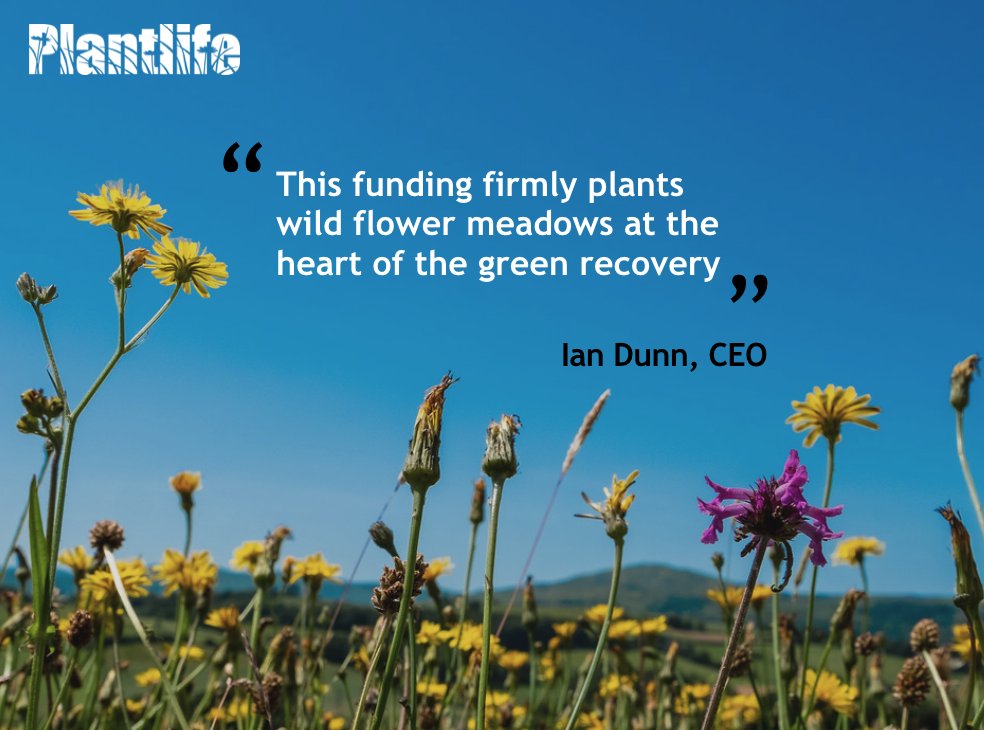 Plantlife &amp; partners are DELIGHTED to receive a <a href="/HeritageFundUK/">The National Lottery Heritage Fund</a> #GreenRecoveryChallengeFund grants to enable a massive #meadows recovery project that will boost wild flowers, tackle #ClimateEmergency bit.ly/33TRQkD #TogetherForOurPlanet <a href="/DefraGovUK/">Defra UK</a> <a href="/IanPlantlife/">Ian Dunn</a>