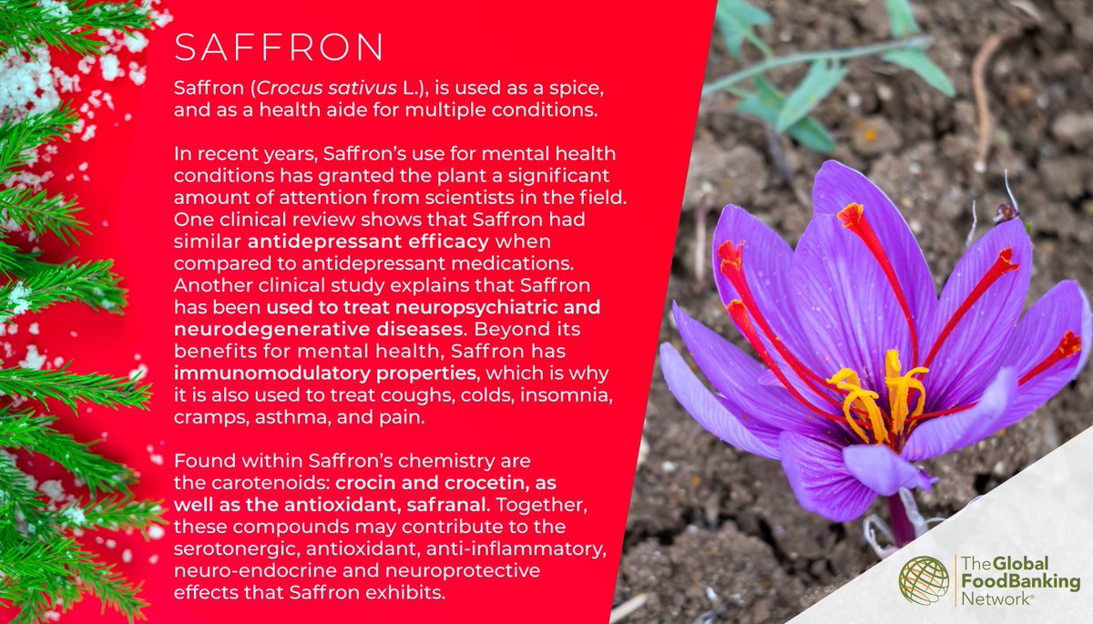 Natac (@natacscienc2mkt) on Twitter photo Raise $1 by testing your knowledge of one of our best-selling products; #Saffron! We've launched a fundraiser with <a href="/foodbanking/">The Global FoodBanking Network</a> (GFN). We’ll add $1 to the cause on your behalf when you read this excerpt and take the quiz: fundraiser2020.natacgroup.com/saffron.php Raise $1 by testing your knowledge of one of our best-selling products; #Saffron! We've launched a fundraiser with <a href="/foodbanking/">The Global FoodBanking Network</a> (GFN). We’ll add $1 to the cause on your behalf when you read this excerpt and take the quiz: fundraiser2020.natacgroup.com/saffron.php