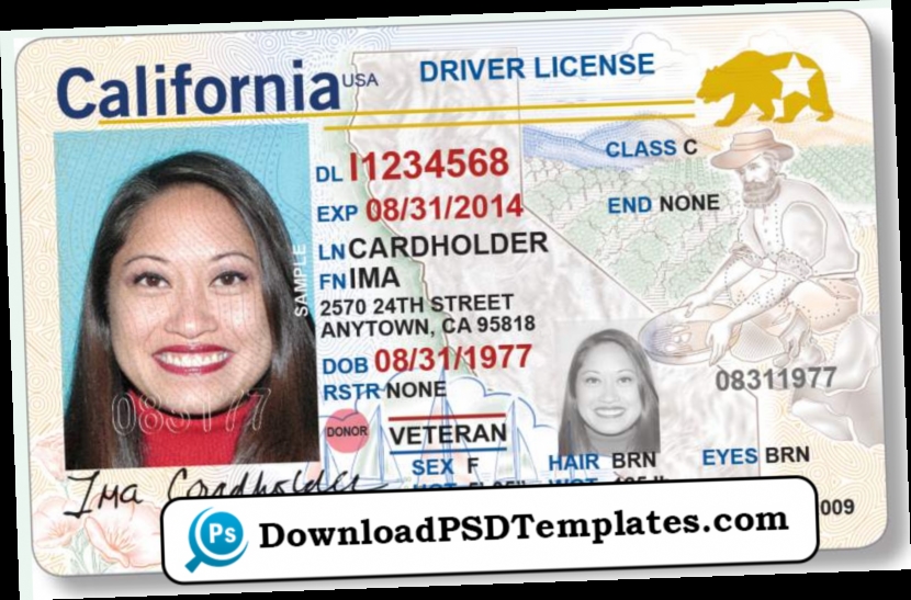 Free Drivers License Template Download For Mac Twitter free-drivers-license-template-download-for-mac-twitter
