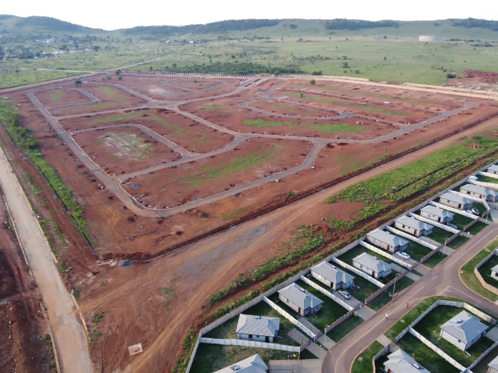 The project manager |  The projects